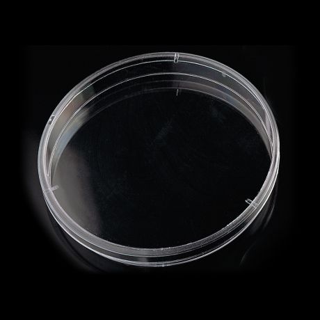 Aszeptikus petricsésze