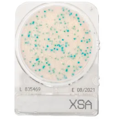 CompactDry™ X-SA for Staphylococcus aureus
