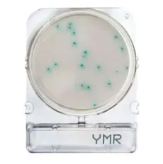 Compact Dry® YMR rapid (moulds and yeasts)