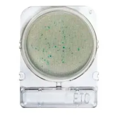 Compact Dry® ETC (Enterococos)